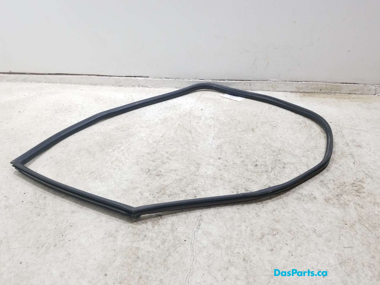 Door Seal RR