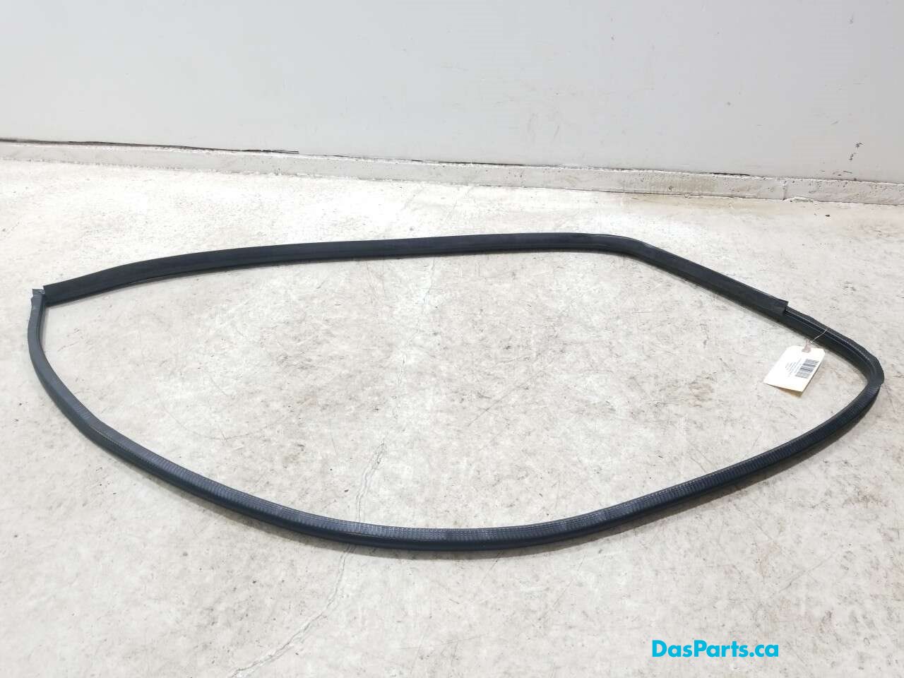 Door Seal LF