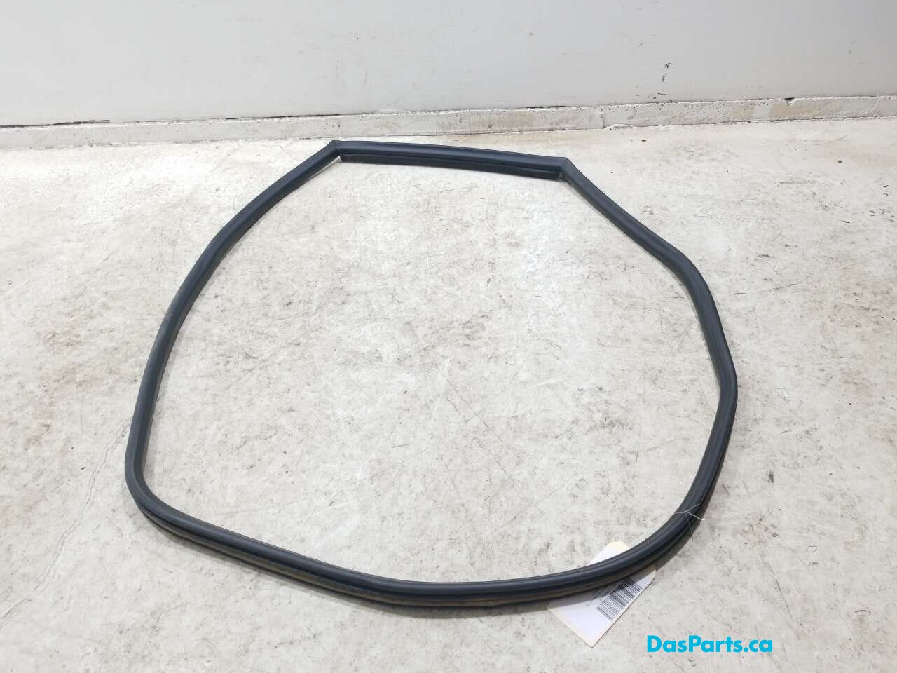 Door Seal LR