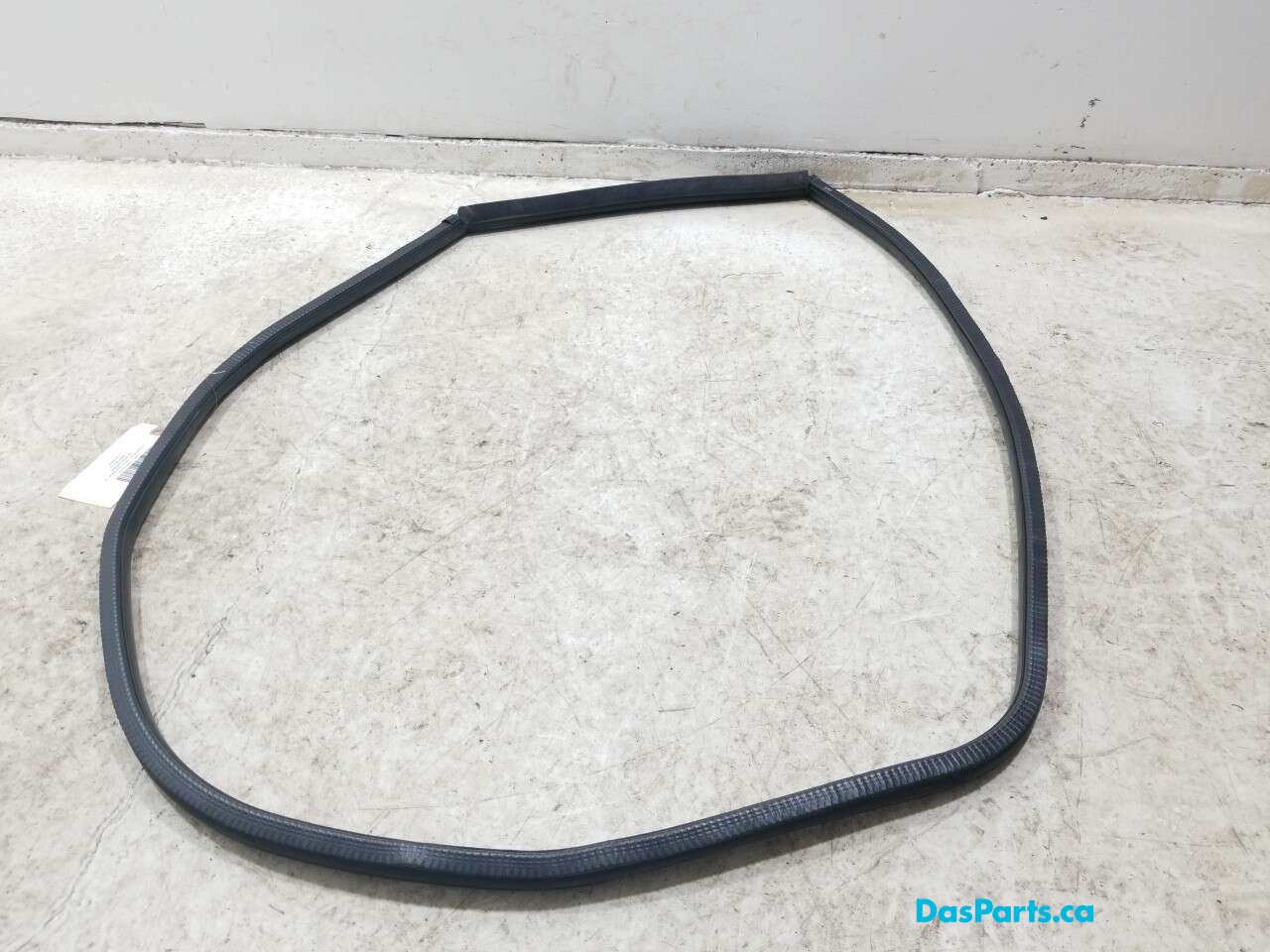 Door Seal LR