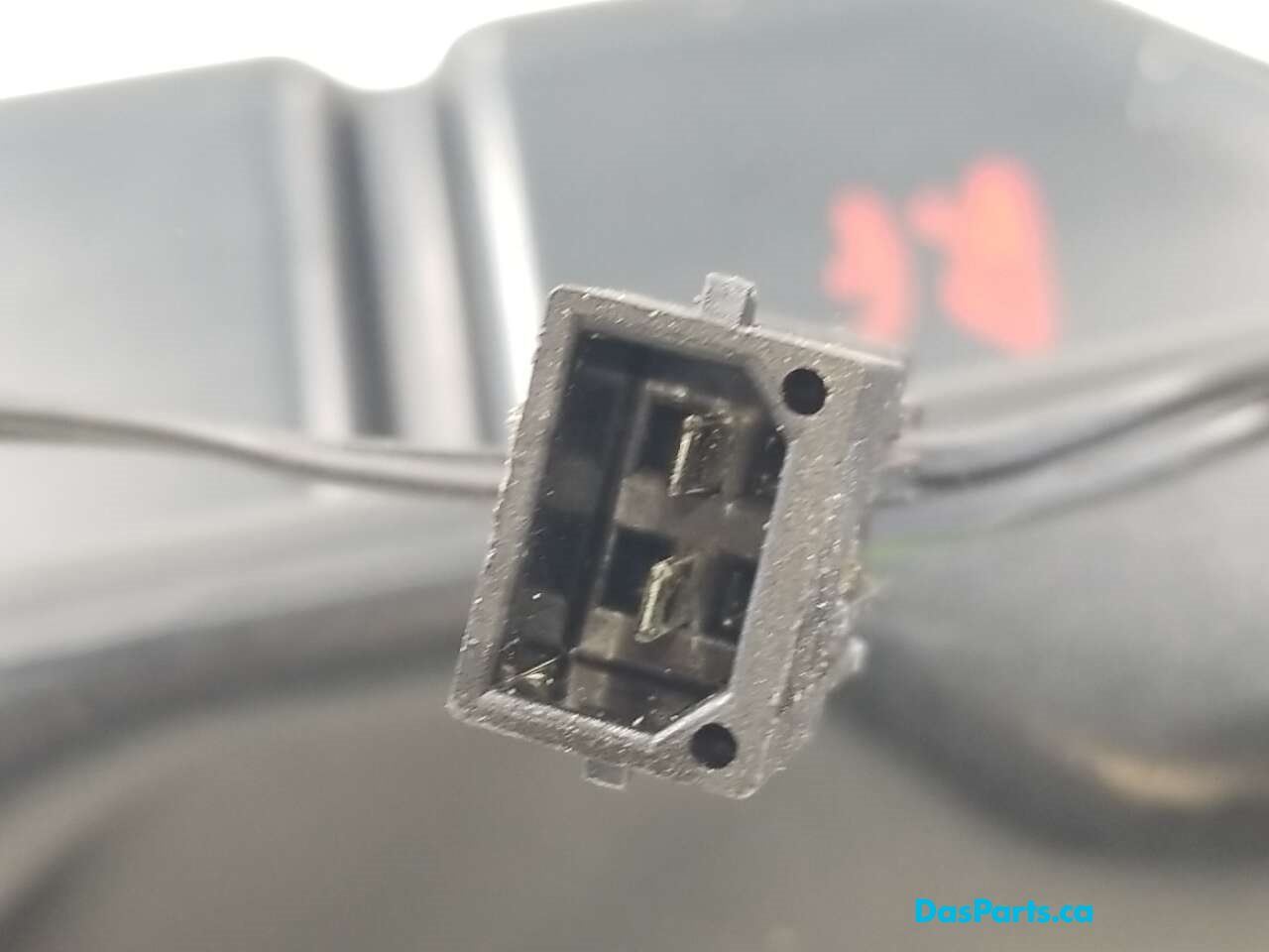 Speaker RF