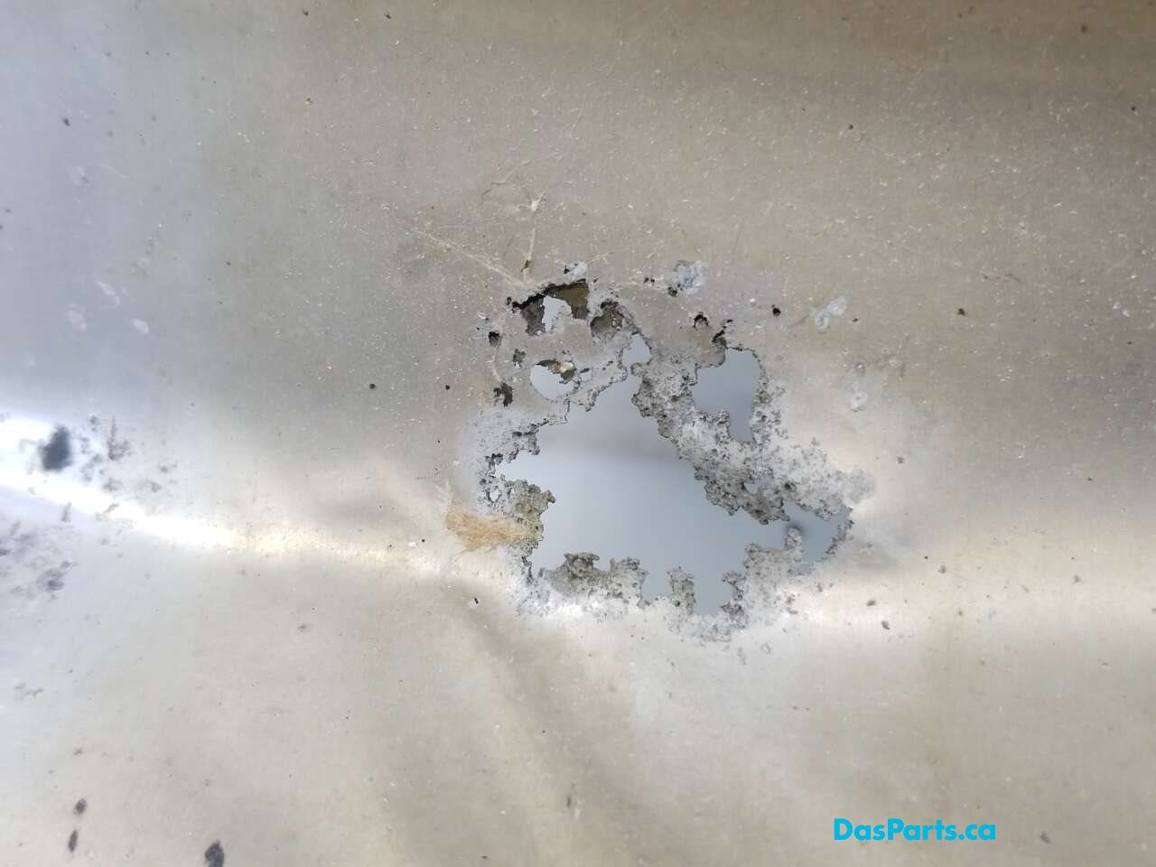Heat Shield