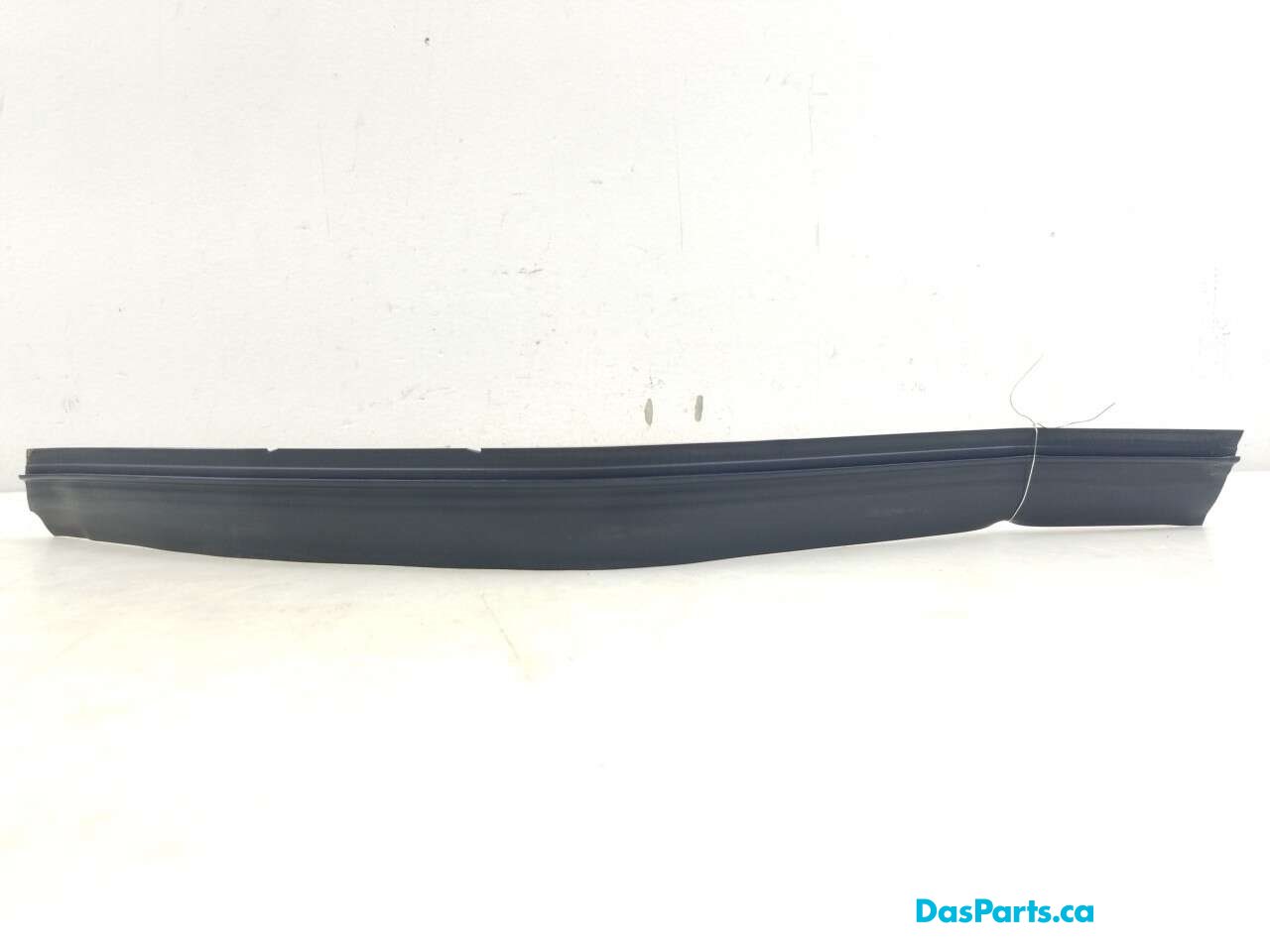 Door Seal RR 2