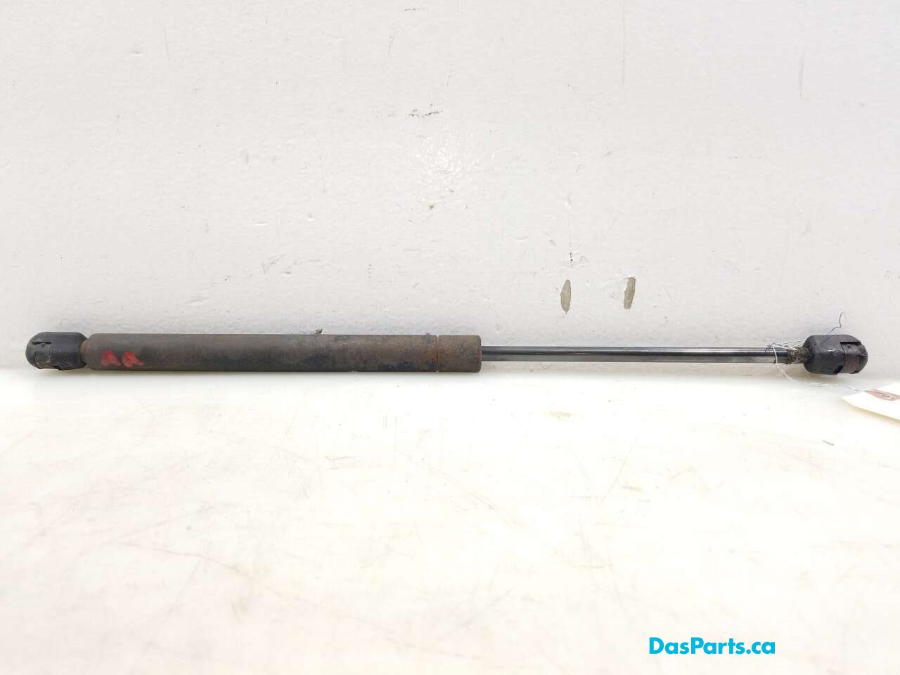 Trunk/Hatch Strut 1