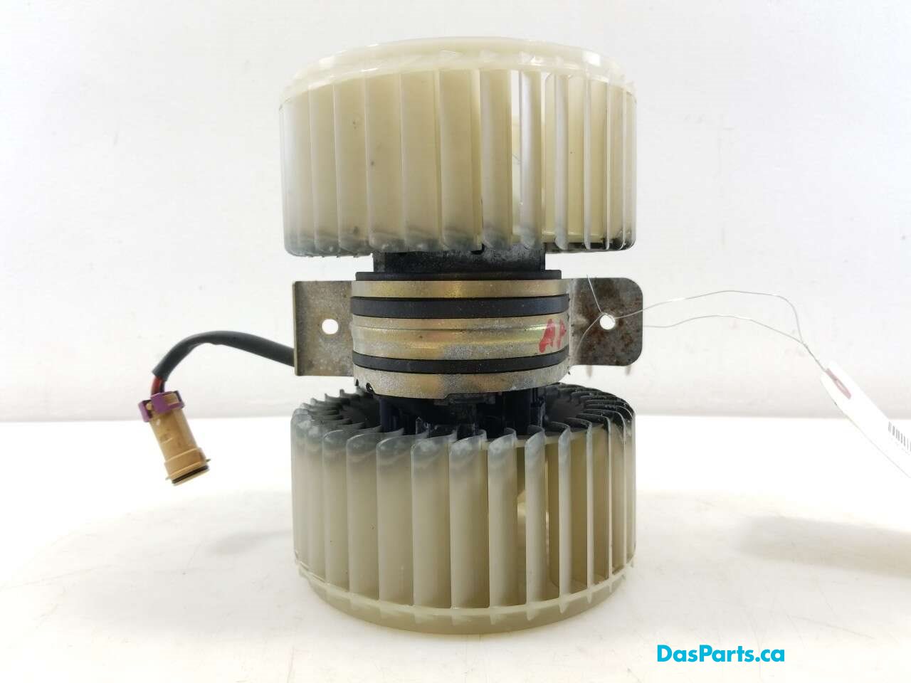 Blower Motor