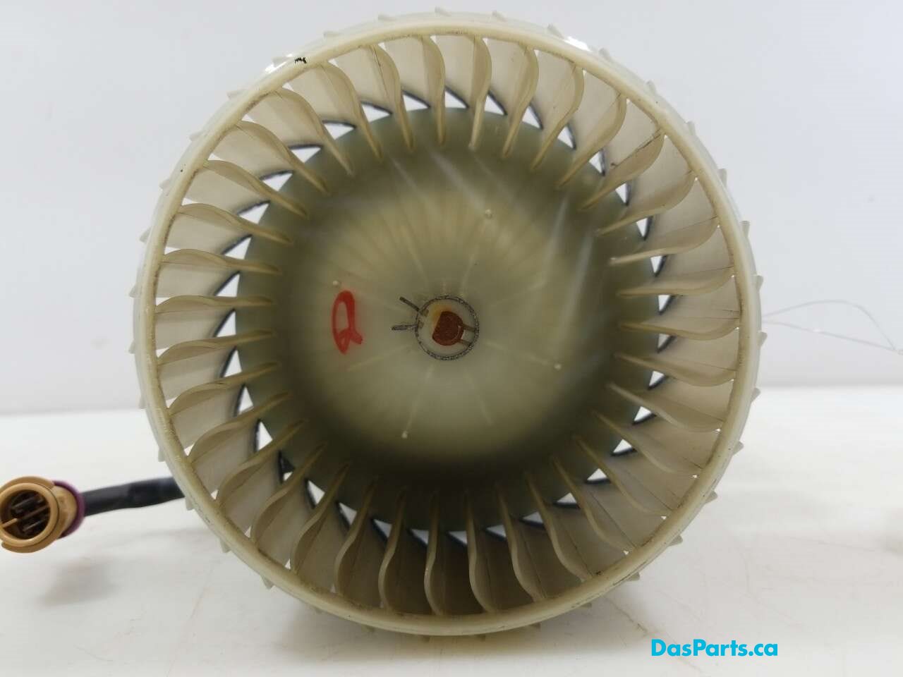 Blower Motor