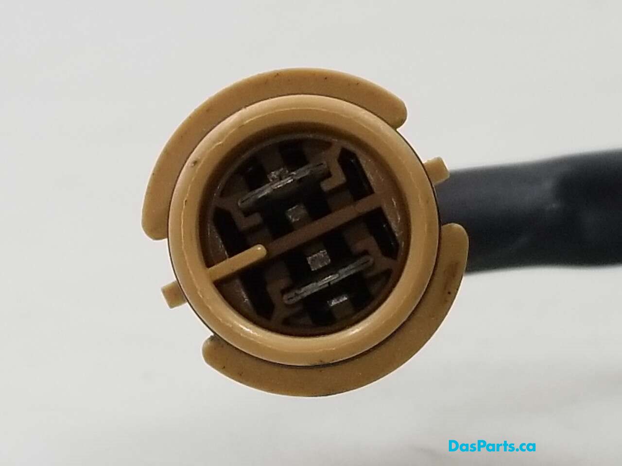 Blower Motor