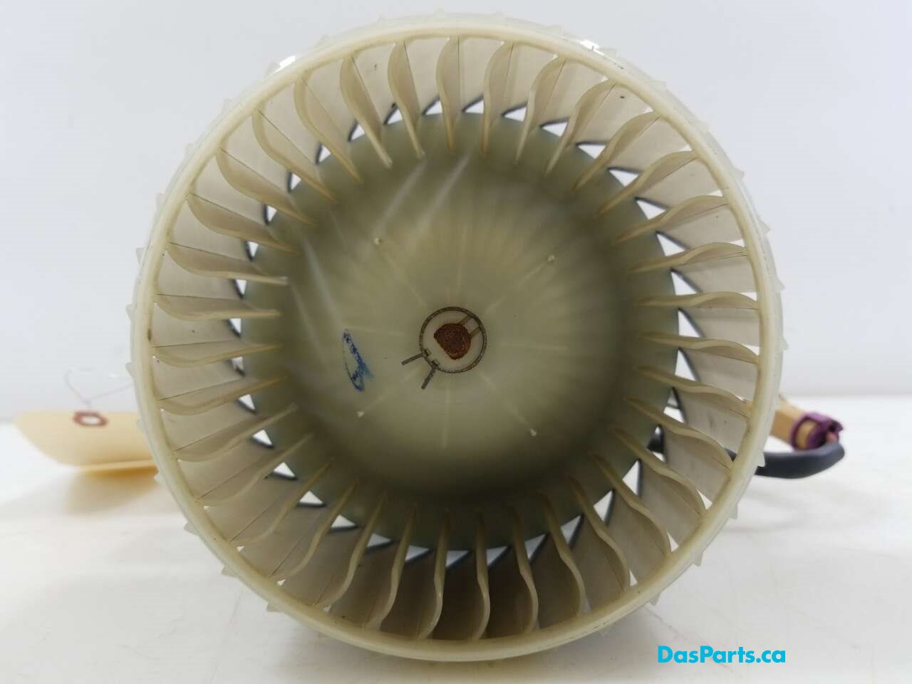 Blower Motor