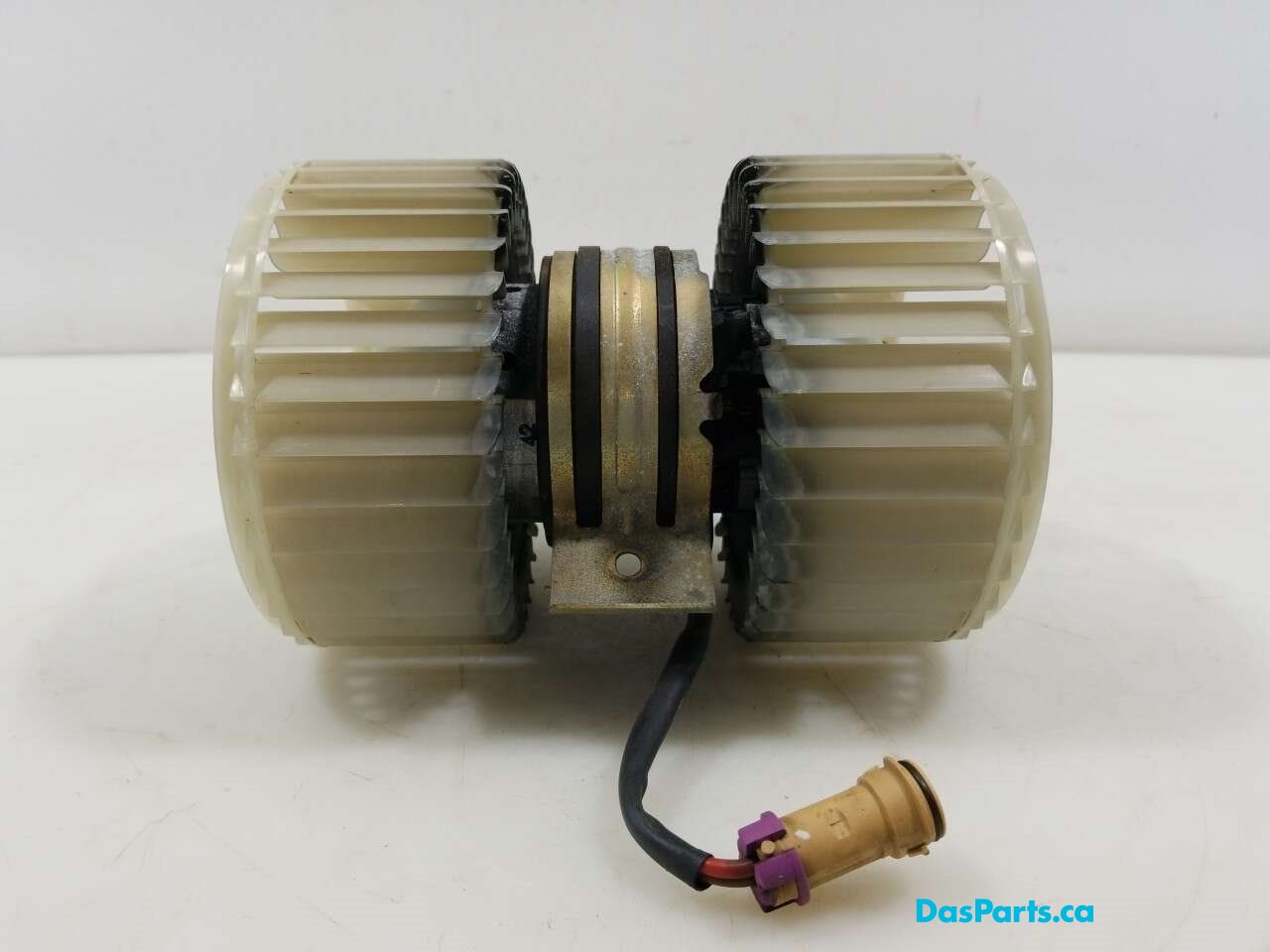 Blower Motor