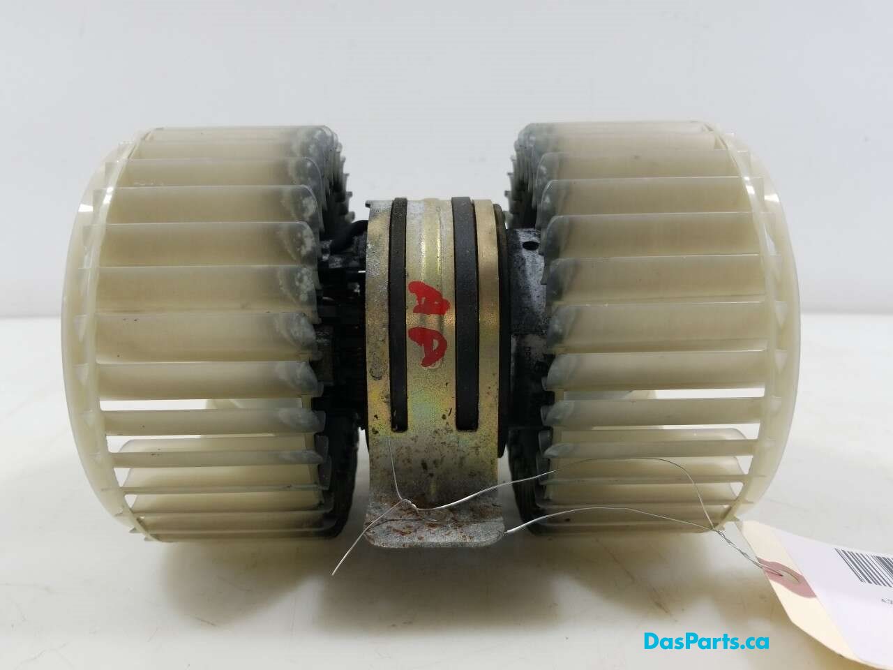 Blower Motor