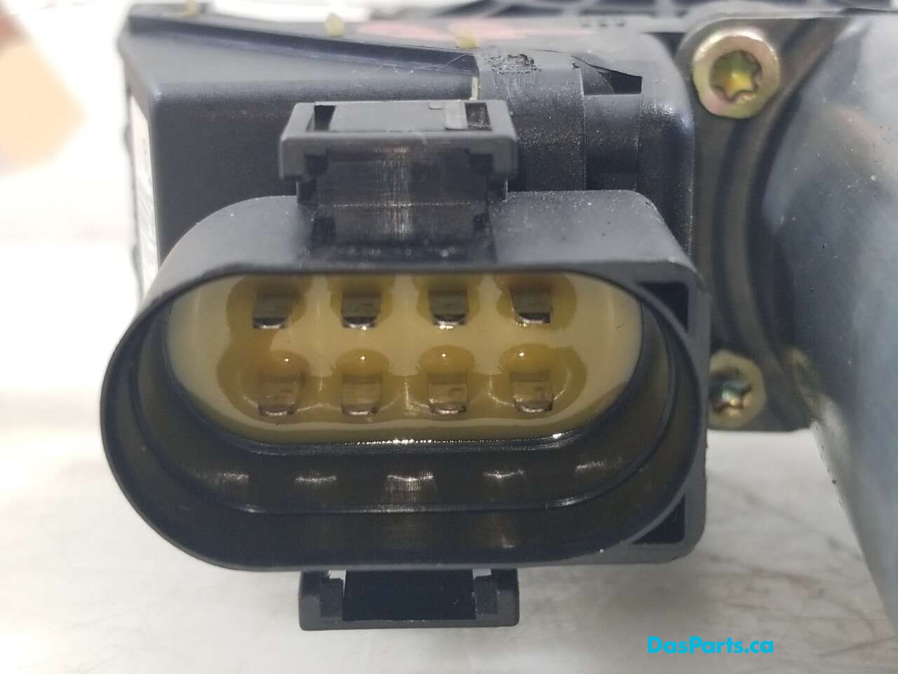 Window Motor RR