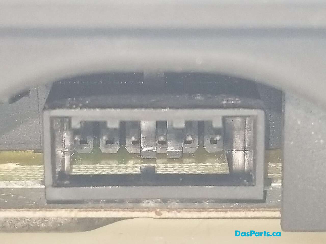 Dome Light Rear