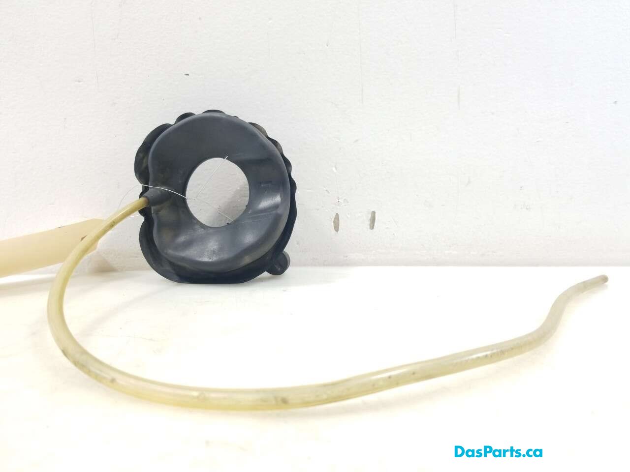 Fuel Door Gasket