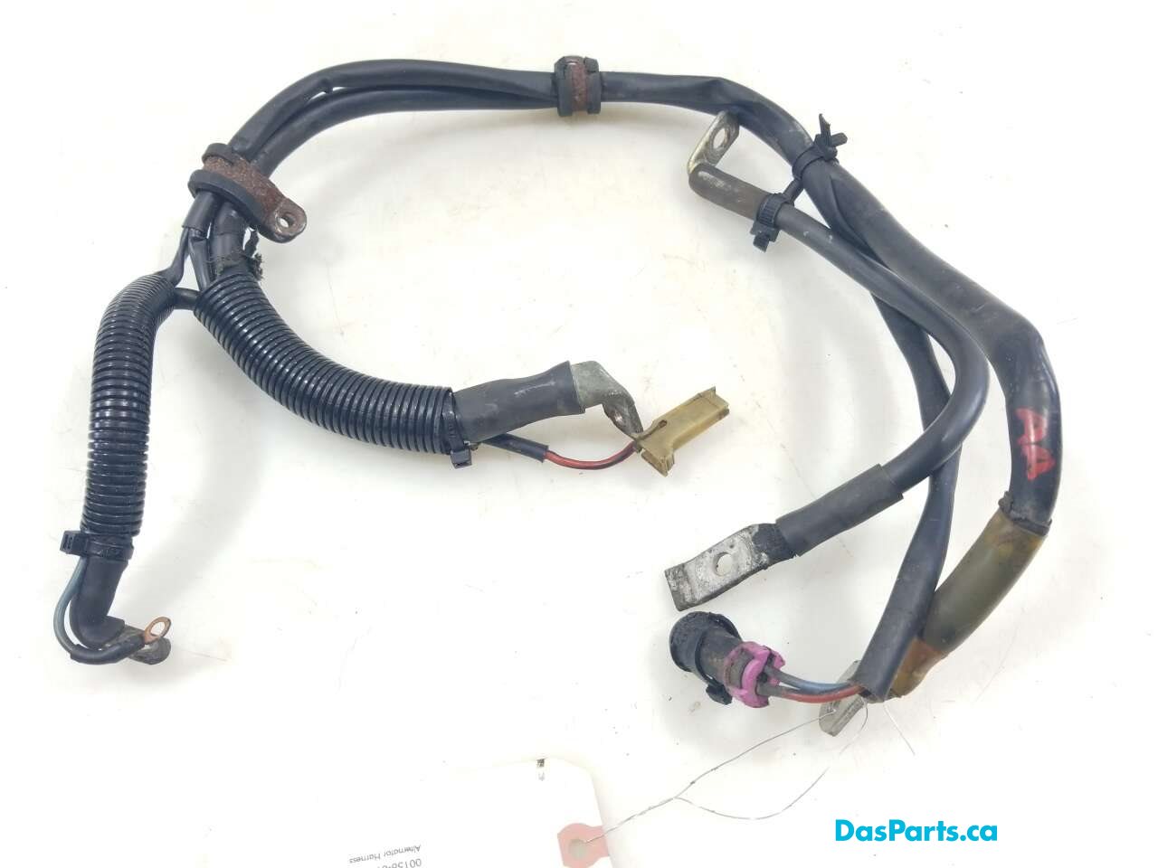 Alternator Harness