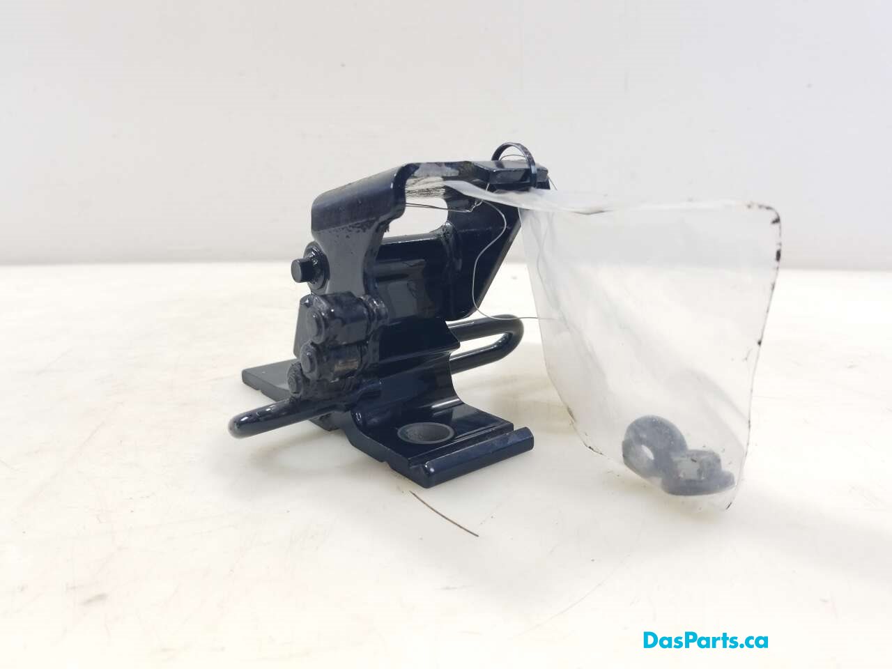 Door Hinge LF Lower