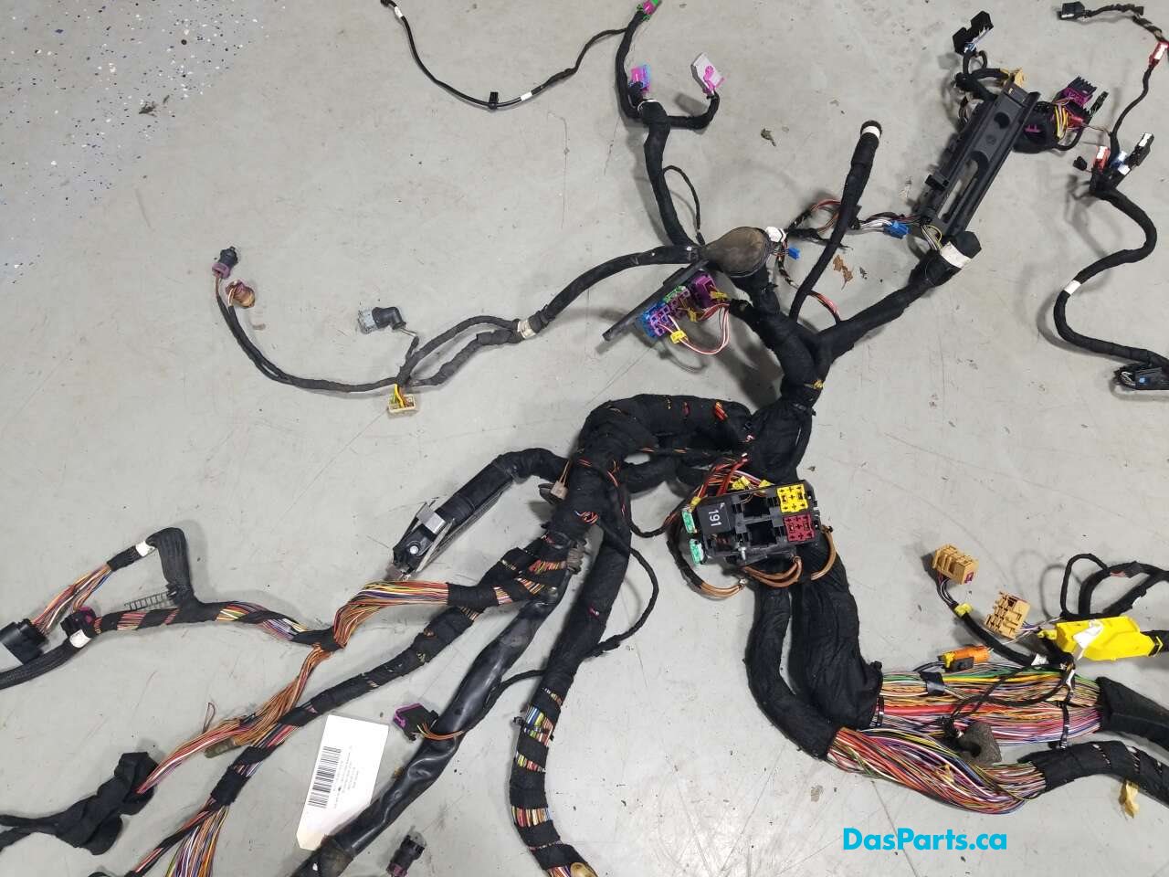 Body Harness
