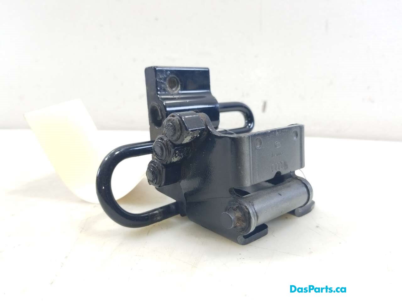 Door Hinge LR Lower
