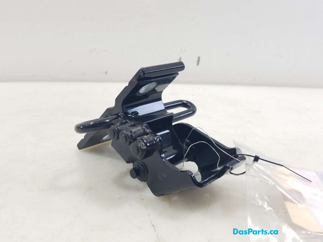 Door Hinge RF Lower