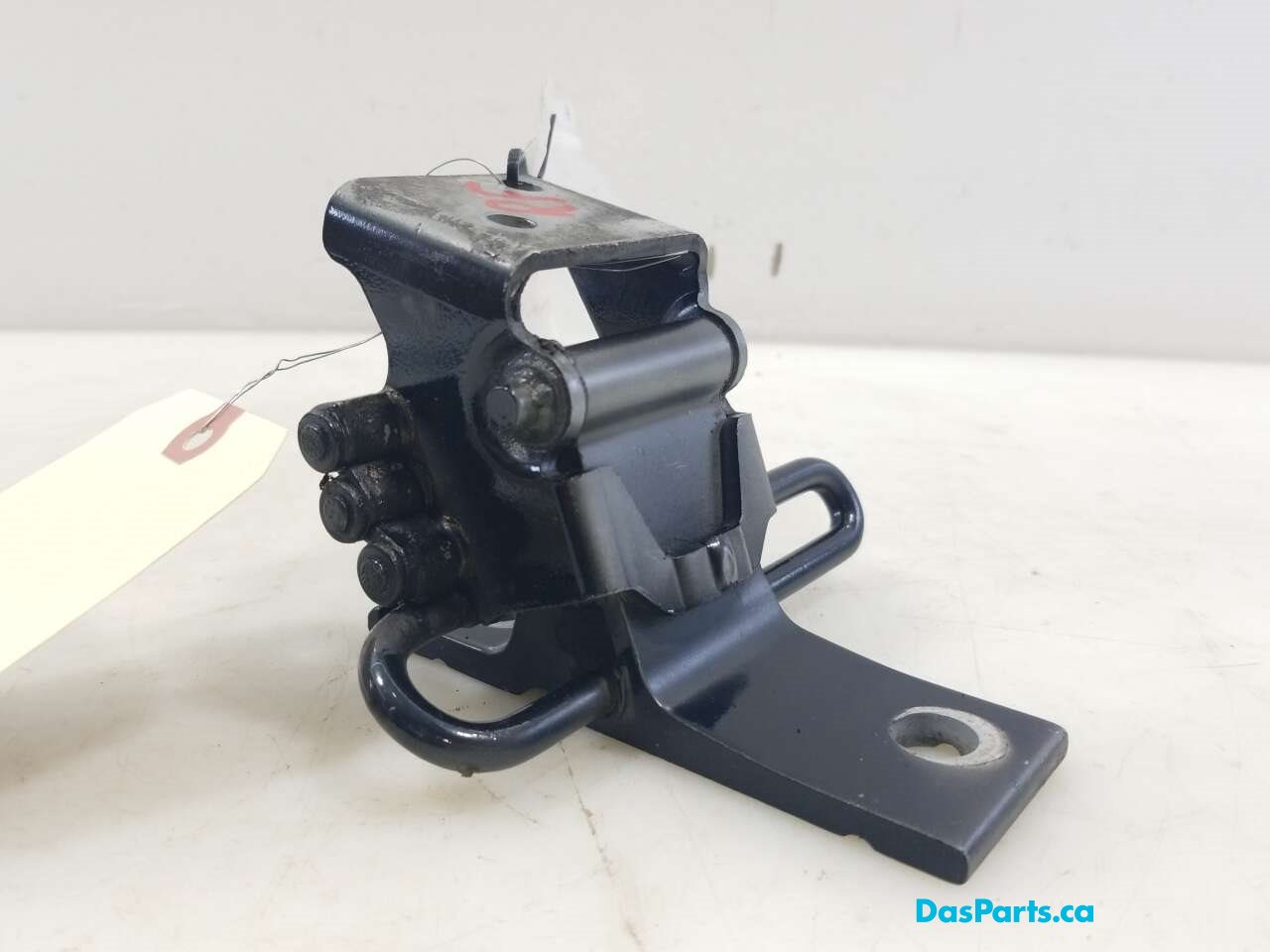 Door Hinge RF Lower