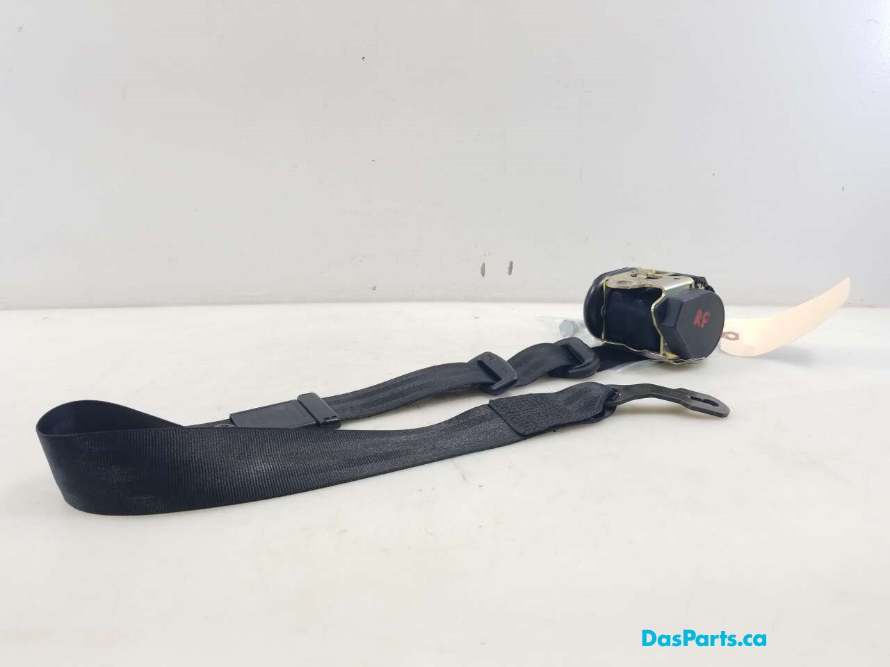 Seat Belt RF