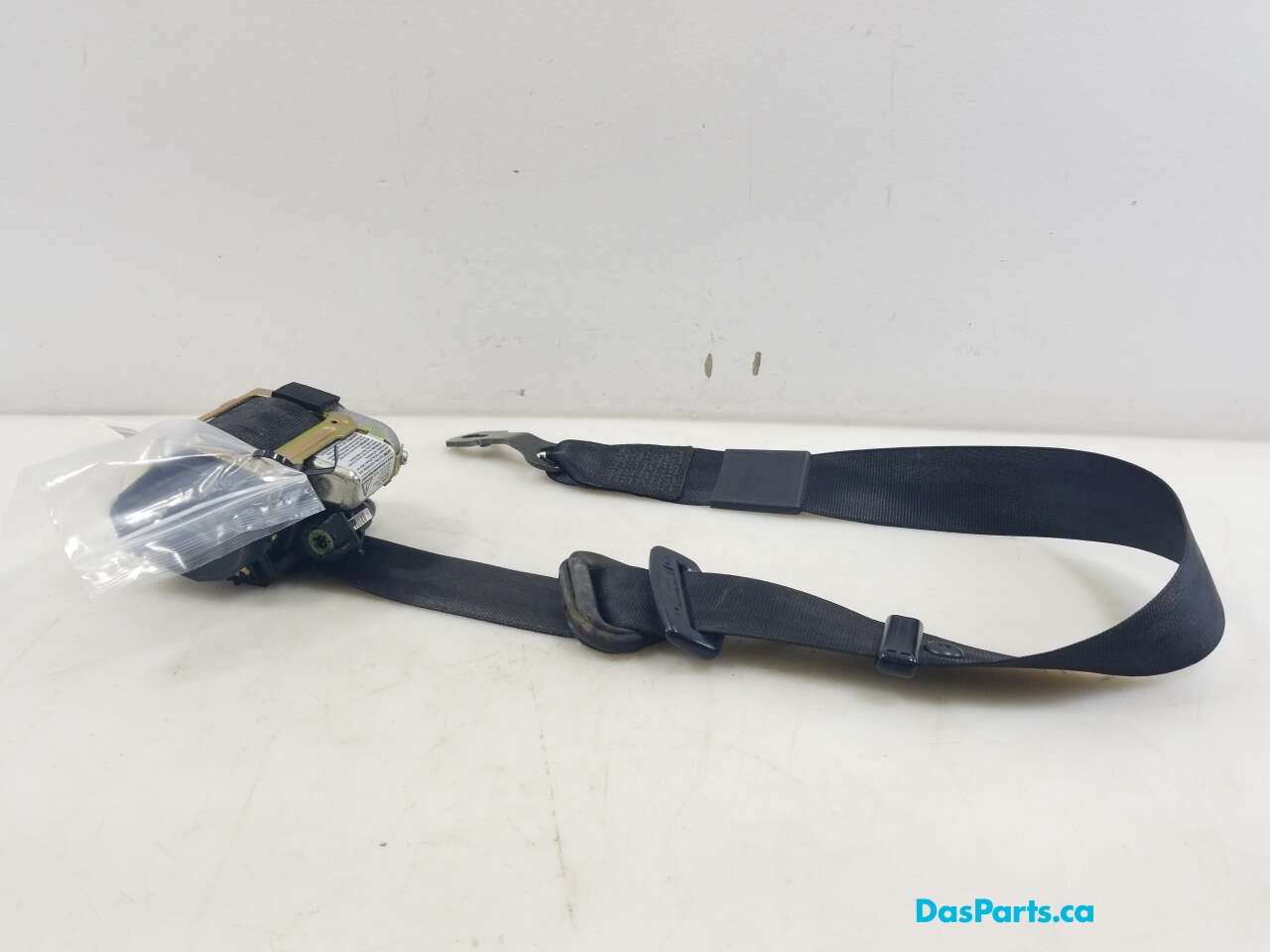Seat Belt LF