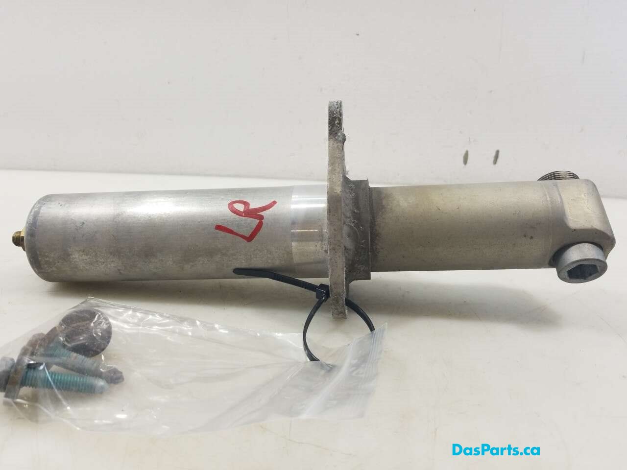 Rear Rebar Shock L