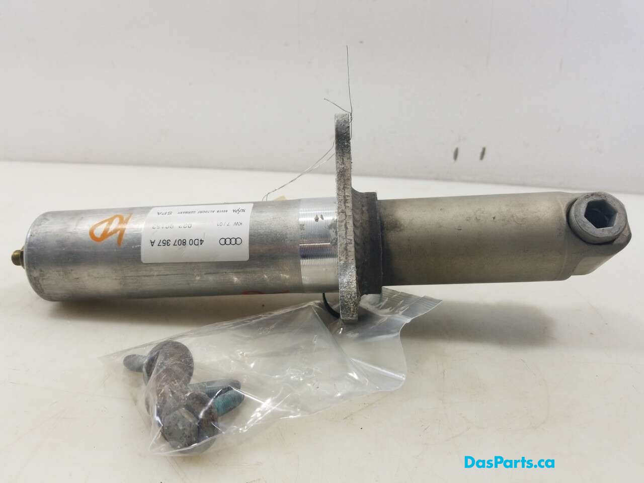 Rear Rebar Shock L