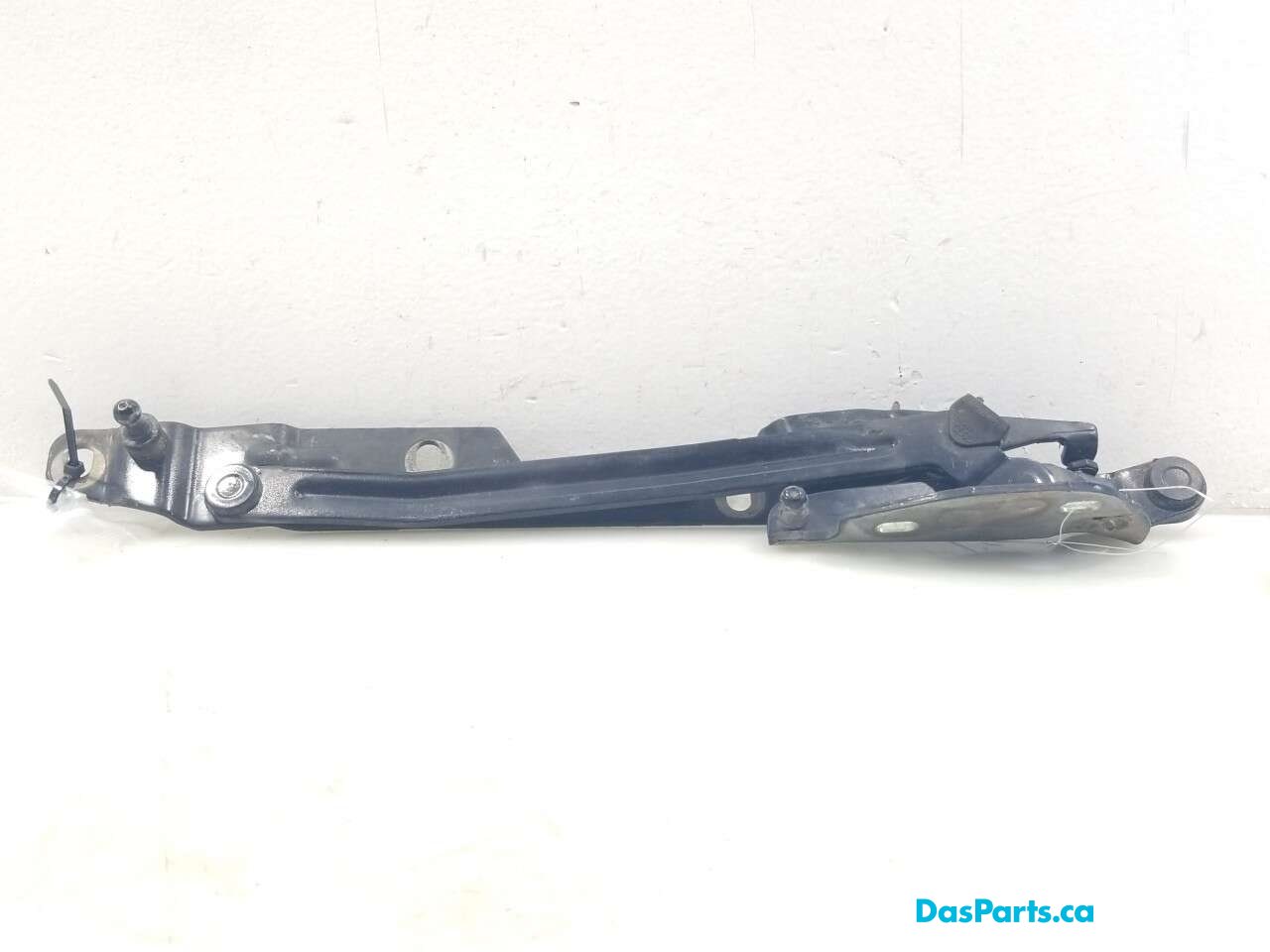 Trunk Hinge R