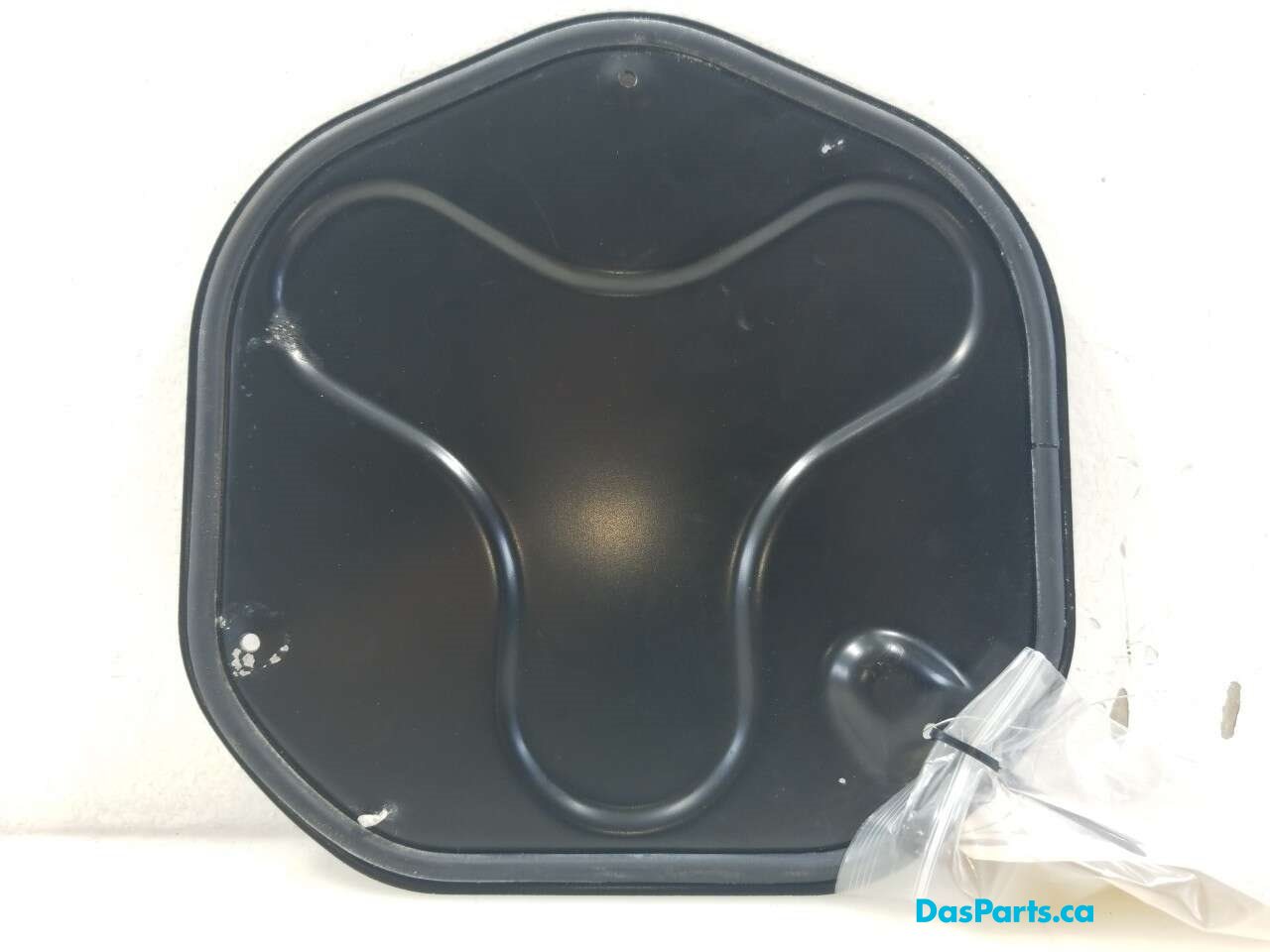 Fuel Pump Access Cover 2