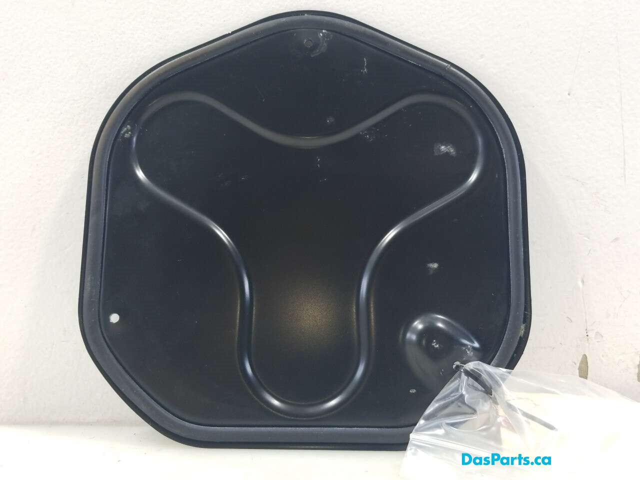 Fuel Pump Access Cover