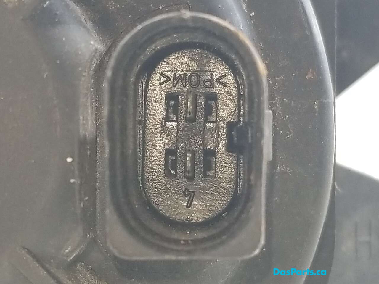 Fog Light L