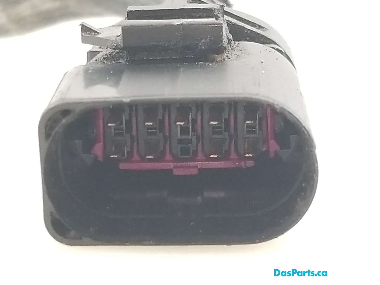 Neutral Safety Switch