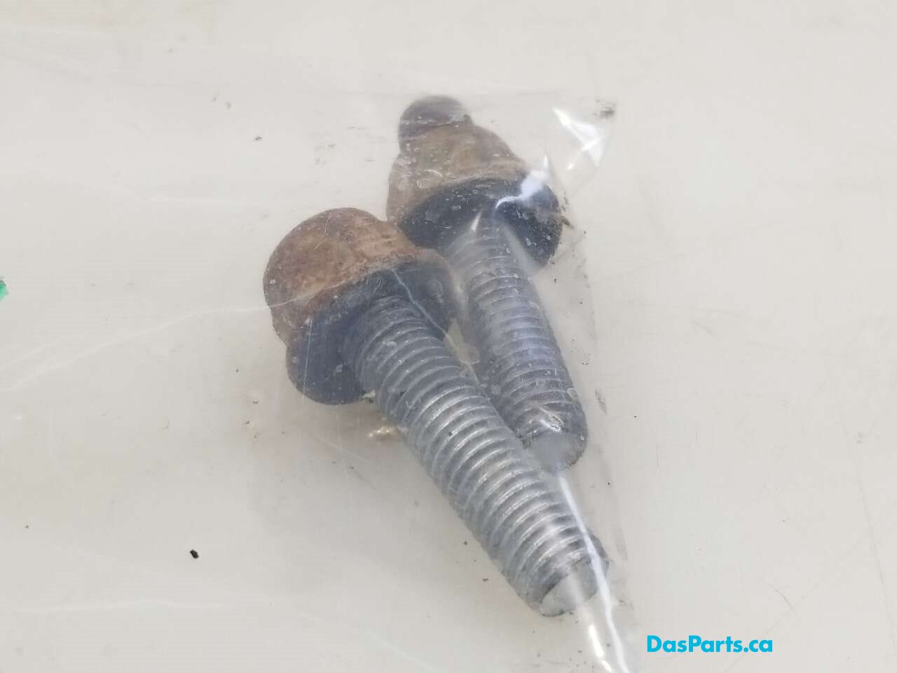 Strut RR
