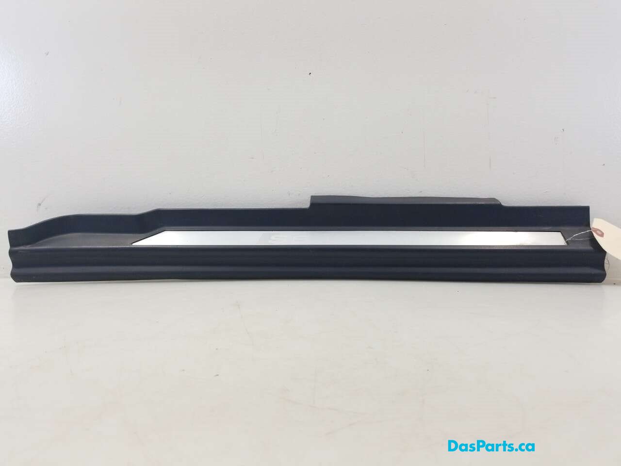 Lower Door Sill Trim RR