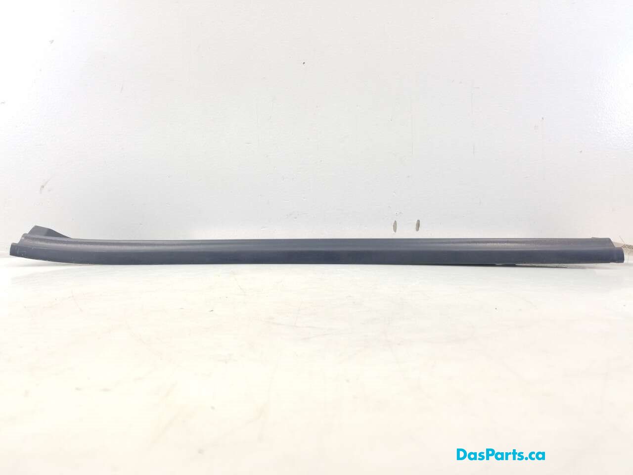 Lower Door Sill Trim RR