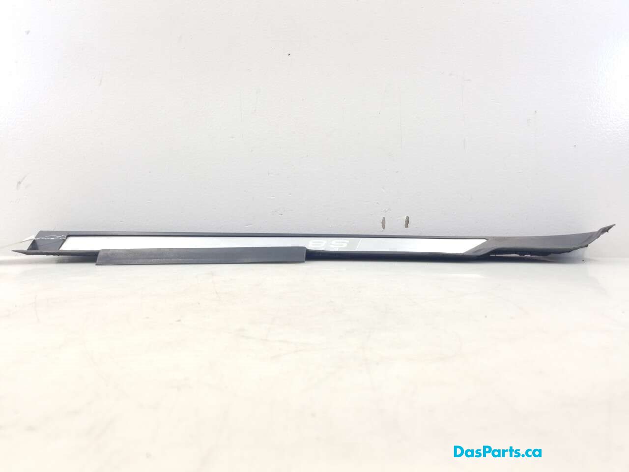 Lower Door Sill Trim RR