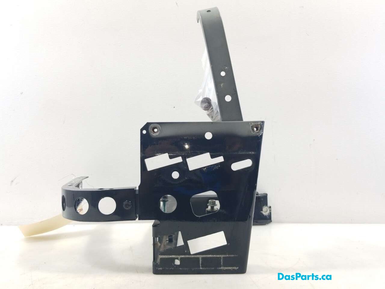 Fender Support LF