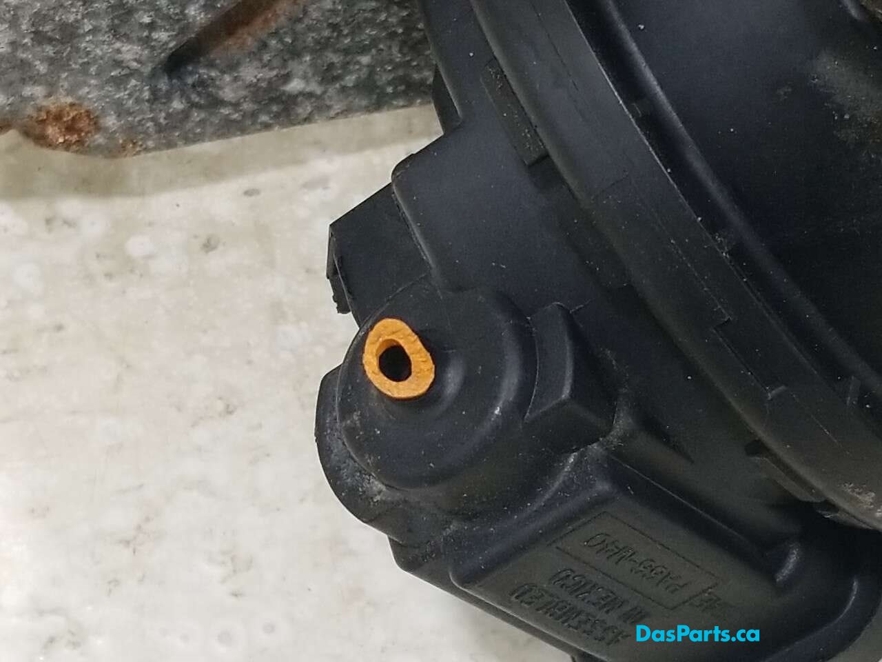 EVAP Leak Detection Pump