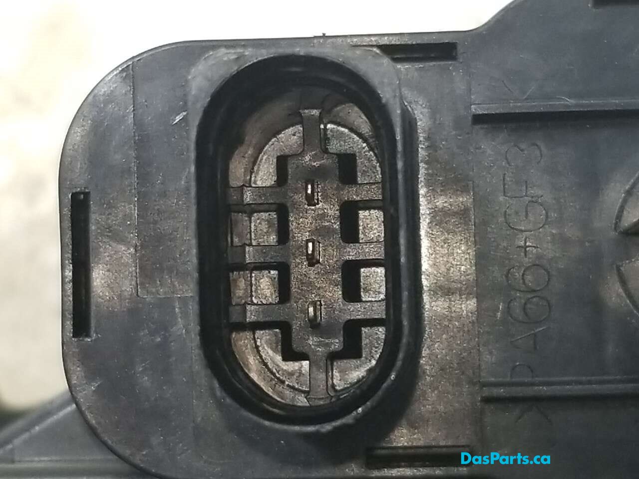 EVAP Leak Detection Pump