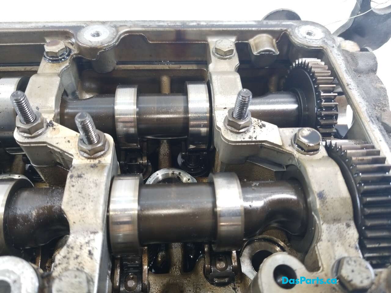 Engine Cylinder Head
