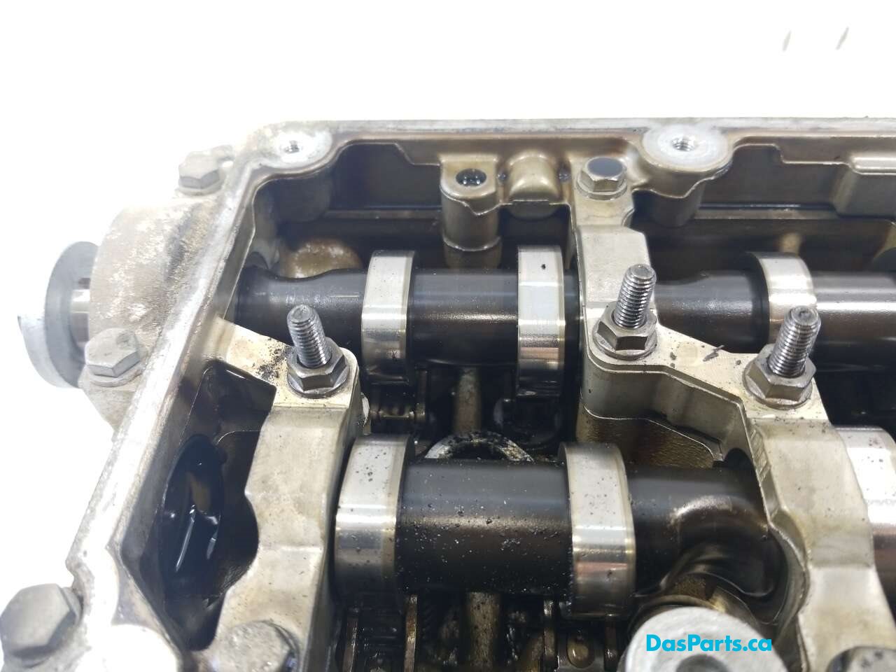 Engine Cylinder Head