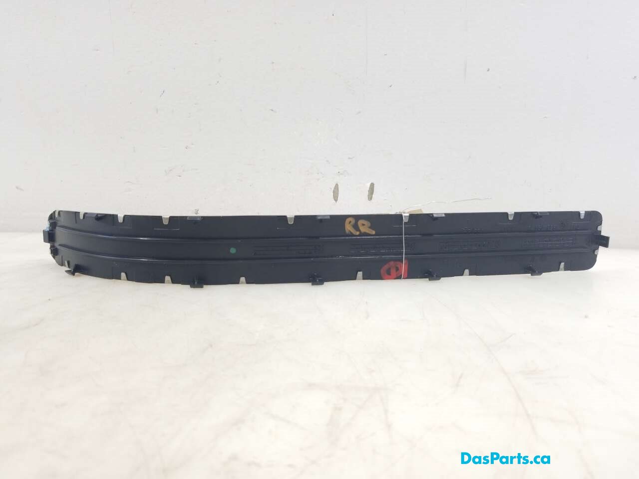 Lower Door Sill Trim RR