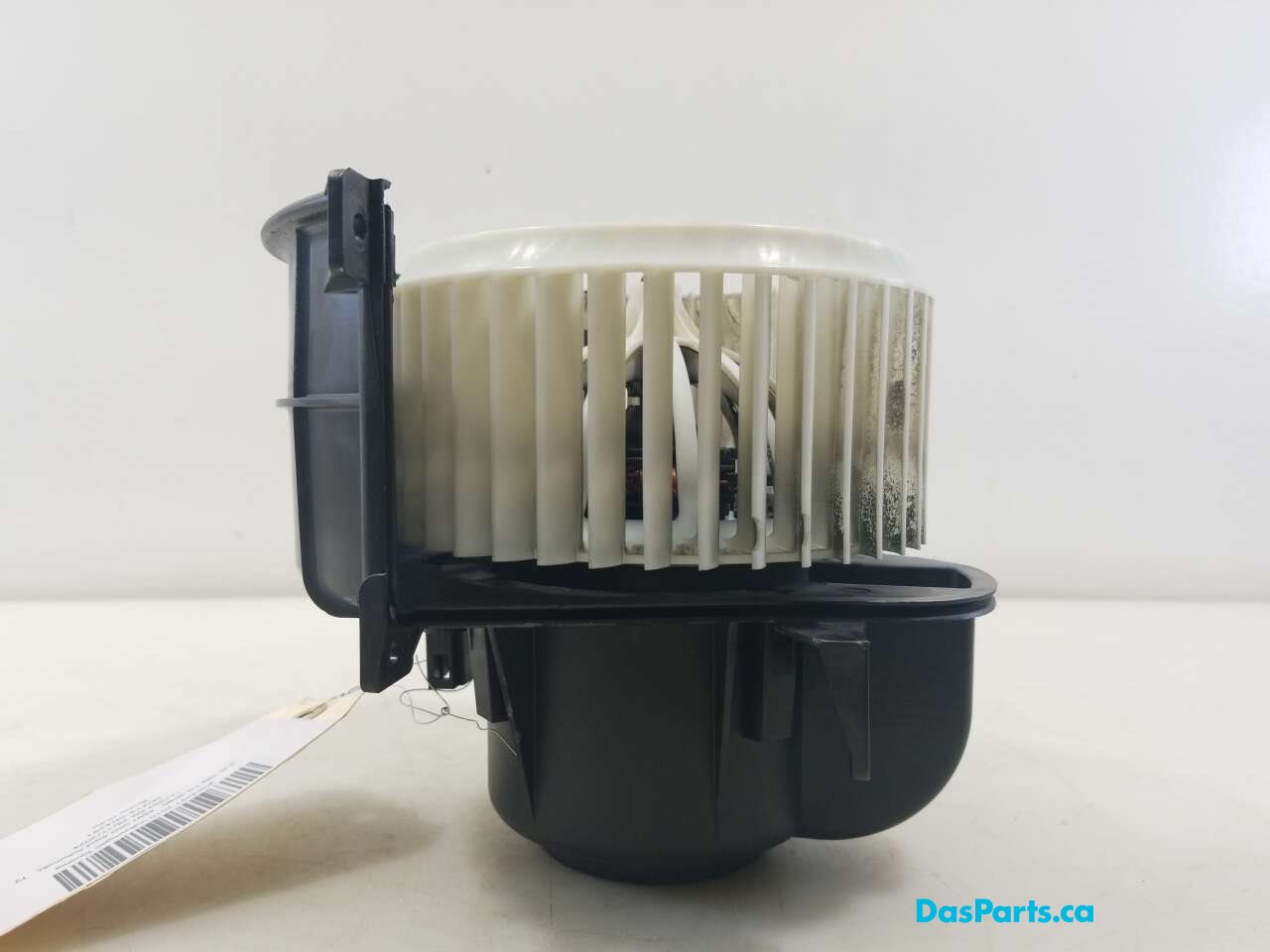 Blower Motor