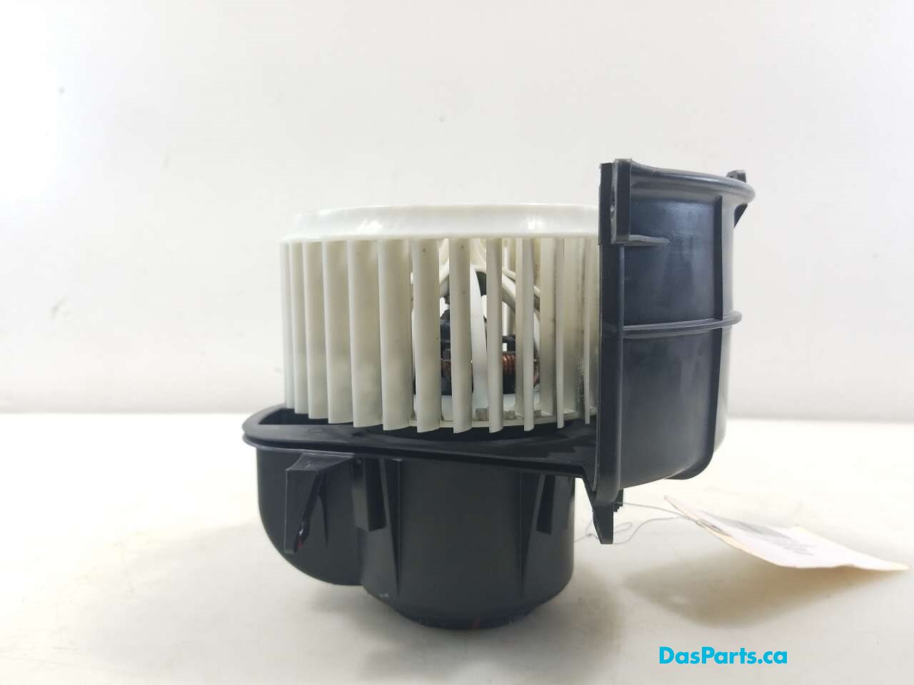 Blower Motor