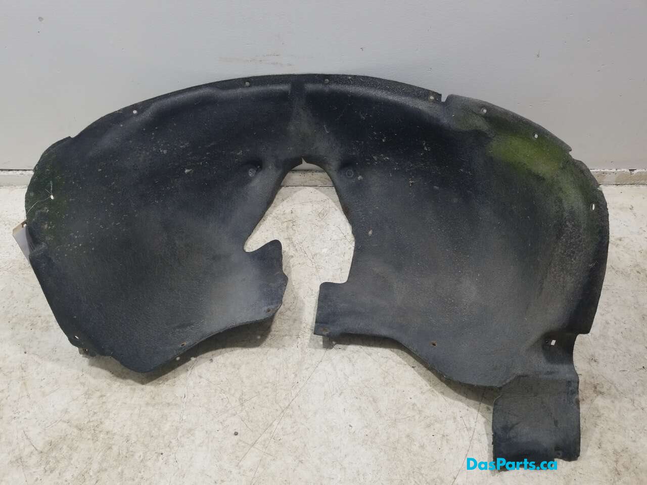 Fender Liner RF
