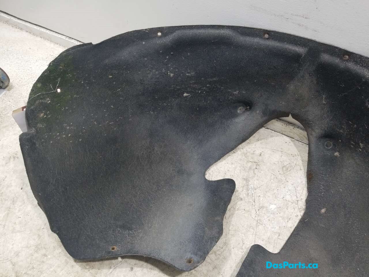 Fender Liner RF