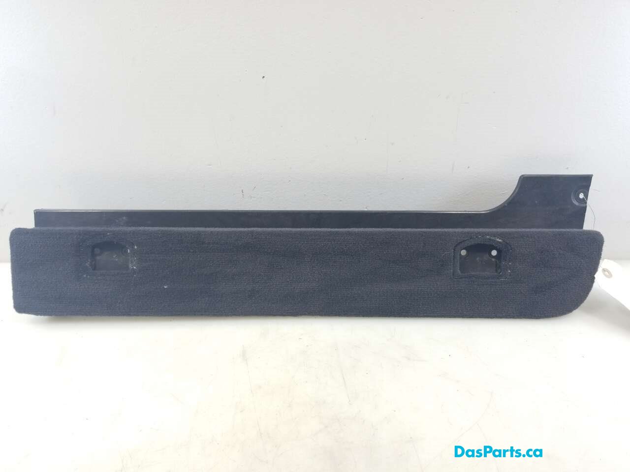 Side Trim Panel L
