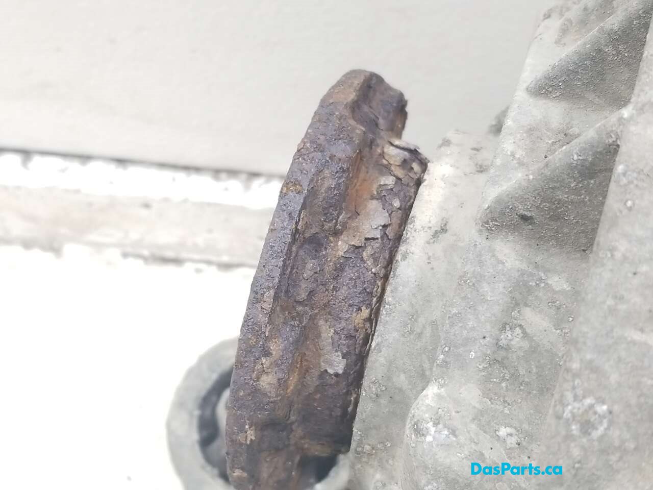Rear Differential