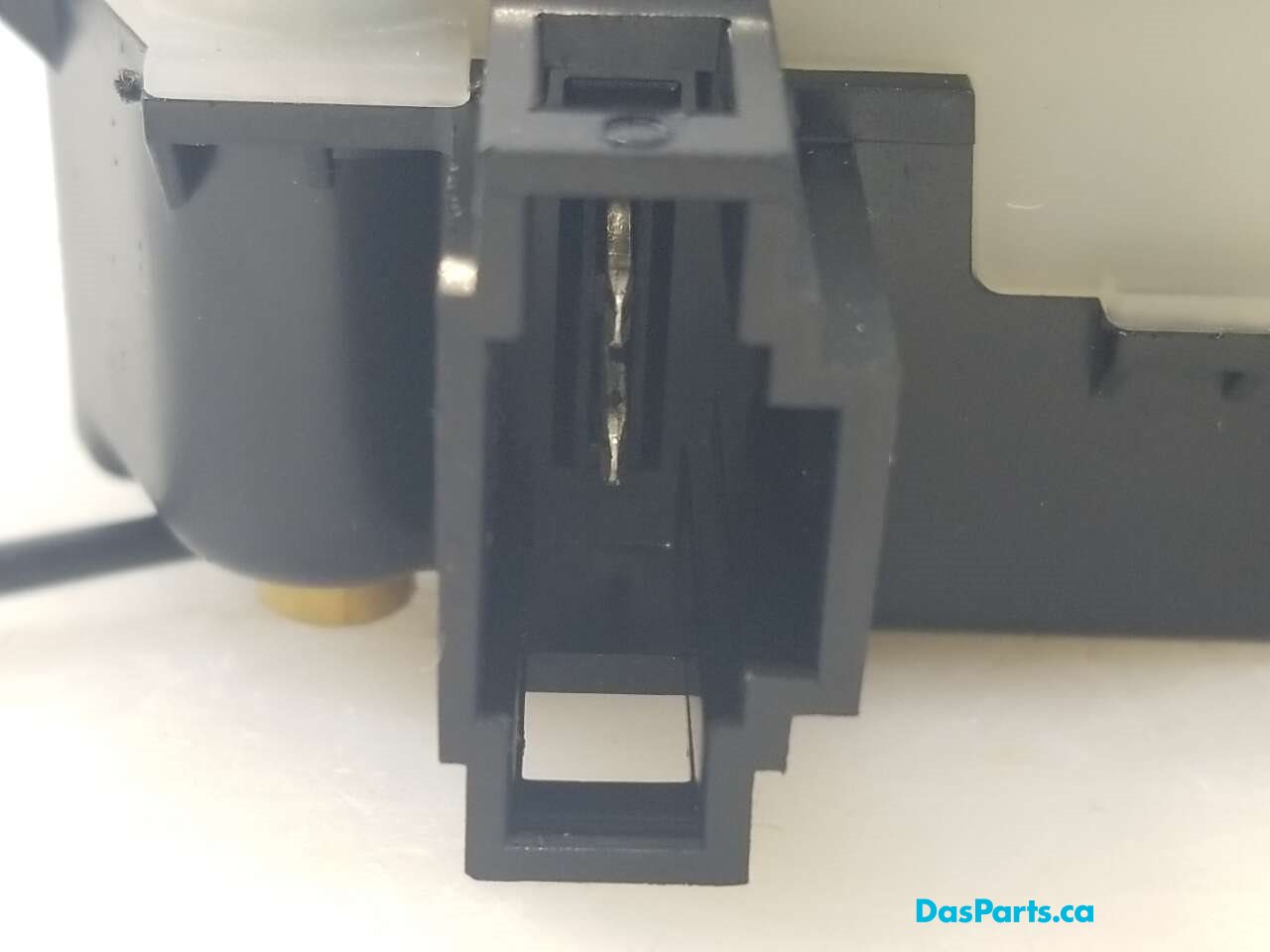 Tailgate Latch & Window Lock Actuator Assembly