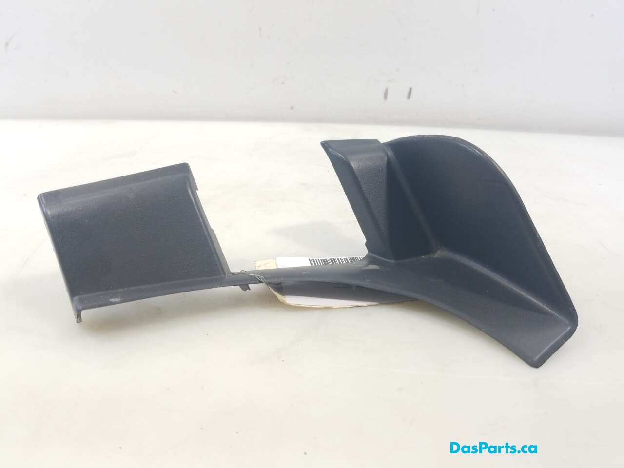 Luggage Compartment Hinge Cover R